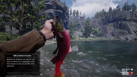 Red Dead Redemption II: Sockeye Salmon Fishing .